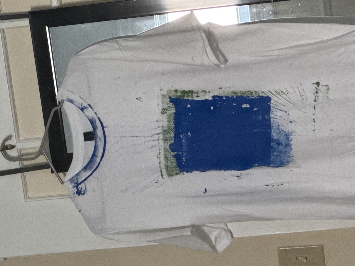 a screen-printed shirt - first attempt
